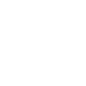 bi_icons300
